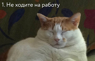 Как избежать стресса на работе?