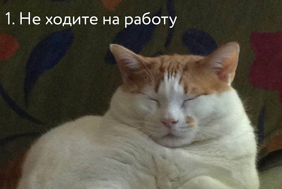 Как избежать стресса на работе?